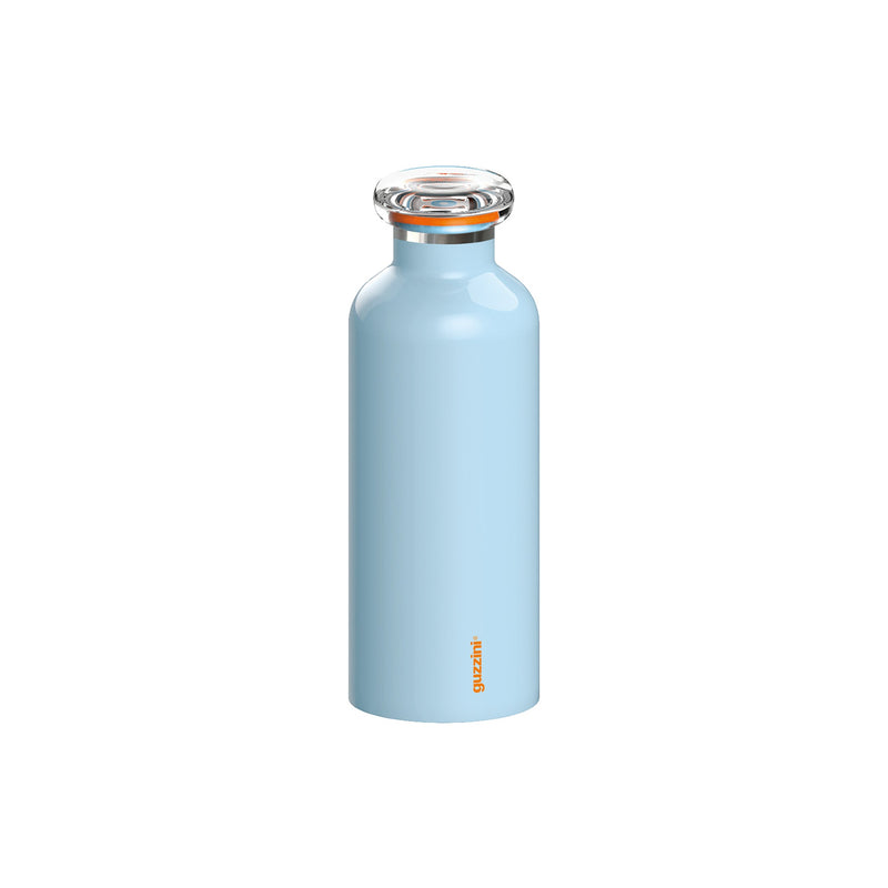 Insulated Travel Bottle