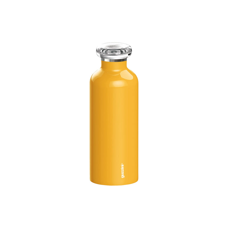 Insulated Travel Bottle