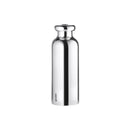 Insulated Travel Bottle