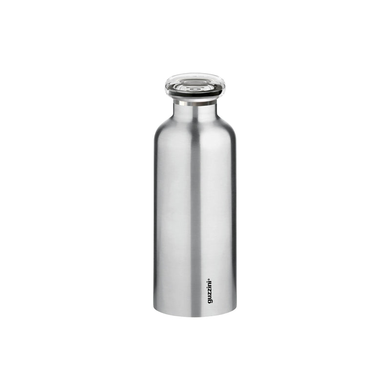 Insulated Travel Bottle