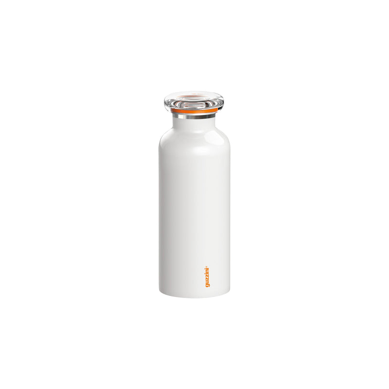 Insulated Travel Bottle