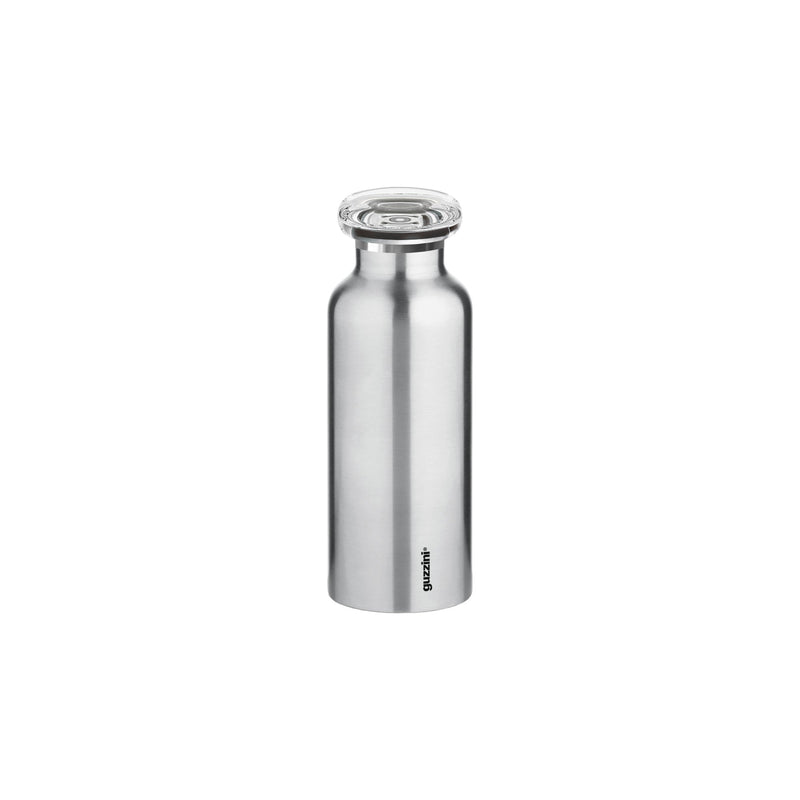 Insulated Travel Bottle