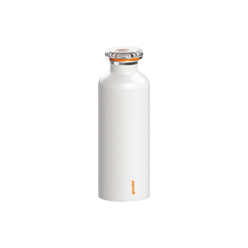 Insulated Travel Bottle