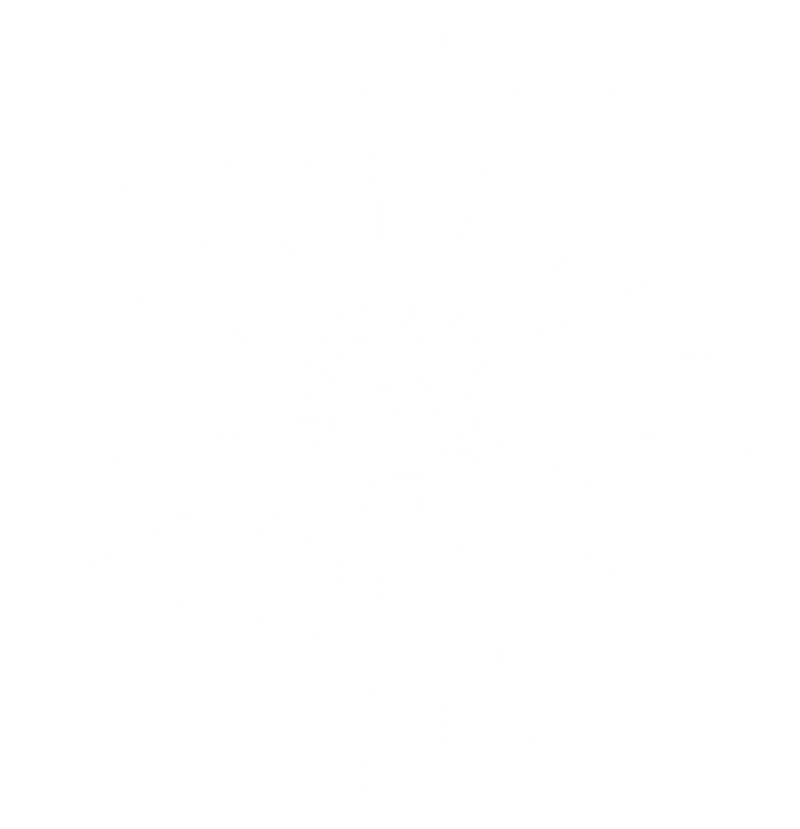 https://visuals.thebradery.com/operations/019f0445-5741-79a1-8f61-7ffb92cf2abb/visuals/LOGO/117440eb-8a58-482c-861a-30b6474725a4.png