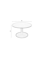 Snow Brushed - Coffee Table - Steel - Satin/Silver