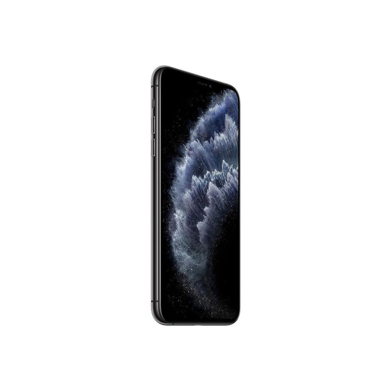 Iphone 11 Pro Max 64 Gb Gris Sidéral Grade A+