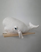 The Beluga