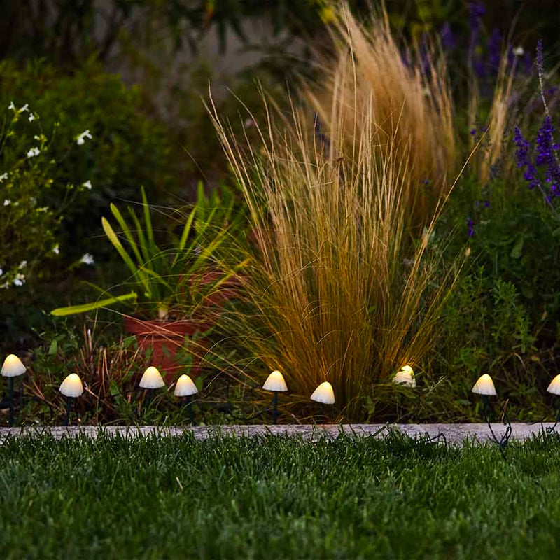 Décoration Lumineuse Solaire - Champy