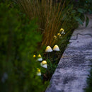 Décoration Lumineuse Solaire - Champy
