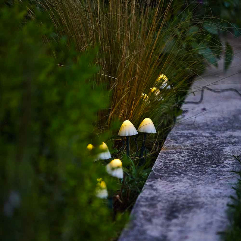 Décoration Lumineuse Solaire - Champy