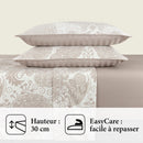 Arles - Drap-Housse Satin De Coton Uni Taupe