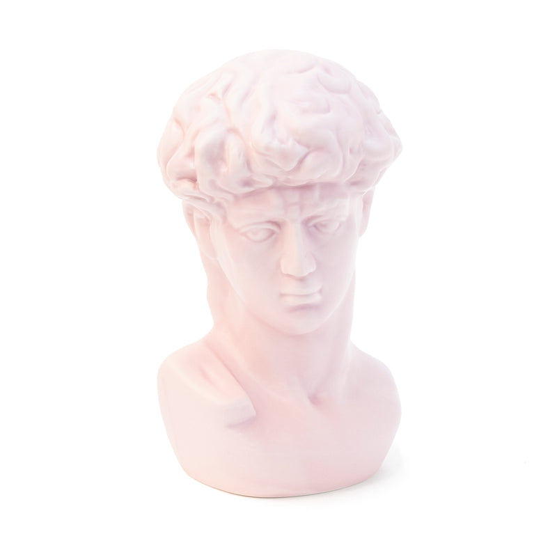 David Miguel Angel Pink Bust