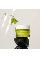 Anti-Enlarged Pores Day Cream - Santorini Grape - 40 Ml