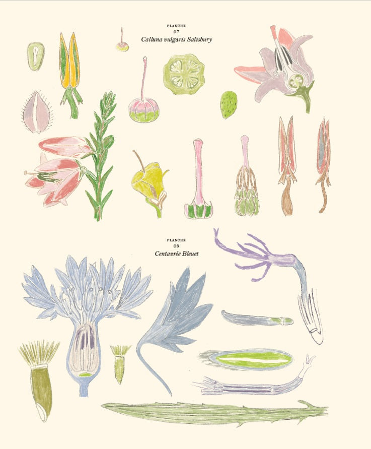 Carnet De Coloriages Et De Stickers / Le Jardin -  Zoé de Las Cases