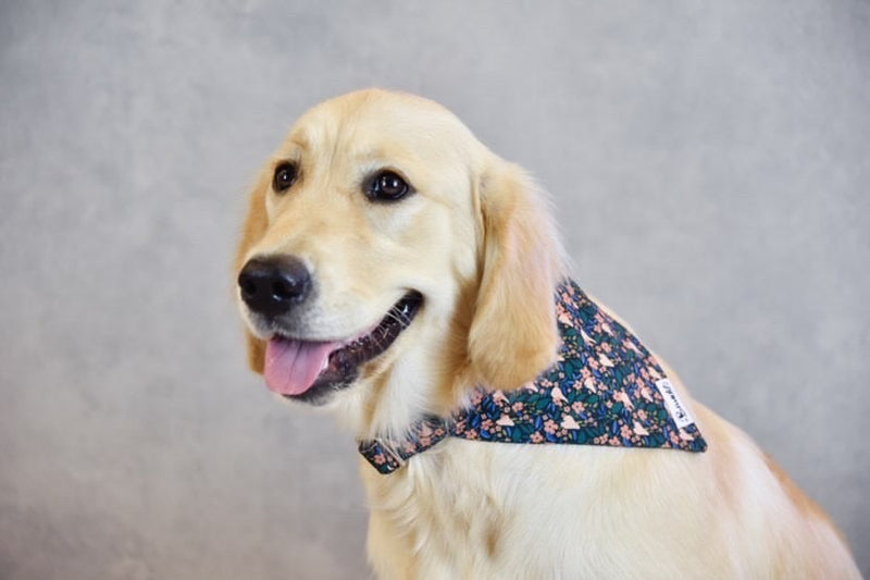 Bandana pour chien motif fleuri 2