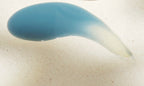 Purifying Shampoo with Thermal Mud - 1000ml