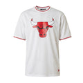 Tee-Shirt New Era Nba Team Logo Oversized Chicago Bulls Mesh