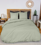 Estra - Draps Housse Bonnet 27cm - 100% Percale de Coton 65fils - Vert - Sauge