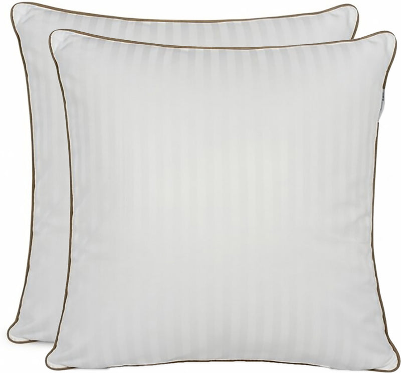 Lot De 2 Oreillers Plume De Canard - Blanc