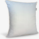 Lot De 2 Oreillers Plume De Canard - Blanc