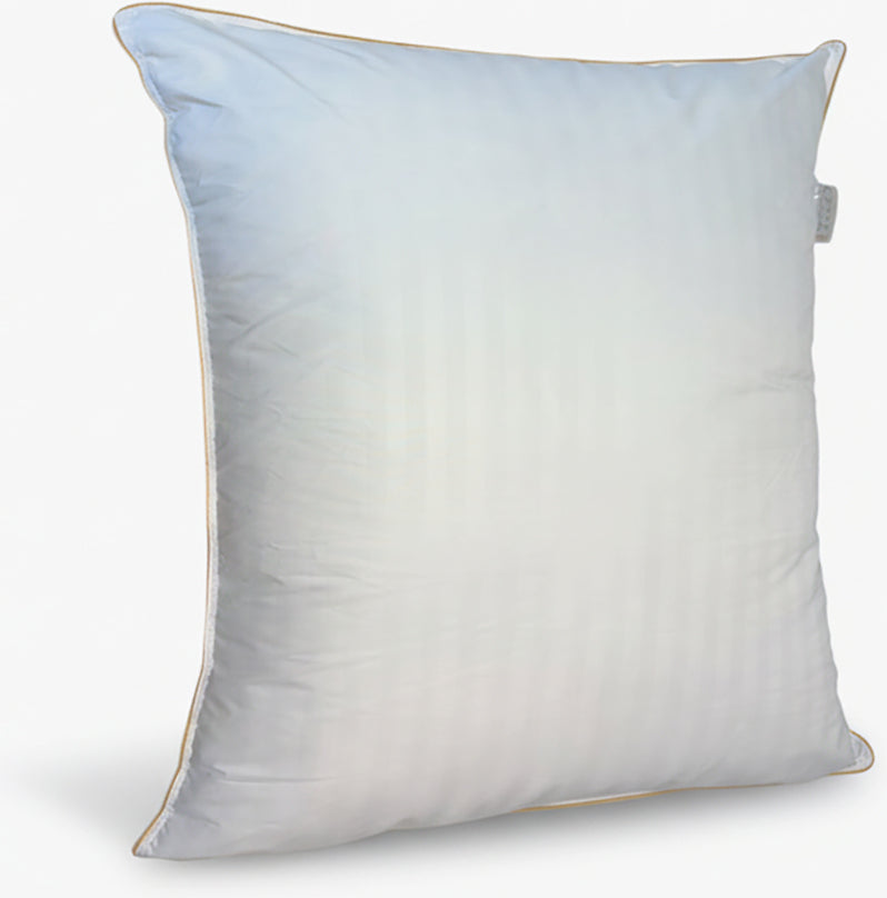 Lot De 2 Oreillers Plume De Canard - Blanc
