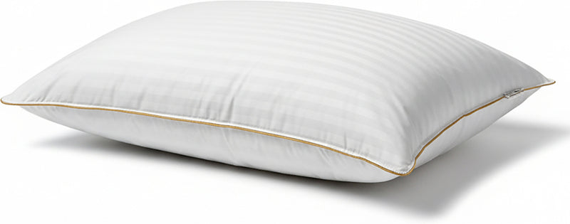 Lot De 2 Oreillers Plume De Canard - Blanc