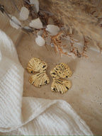 Boucles D'Oreille Or
