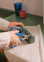 Kitchenware Studio - Kitchen Knife and Scissors Sharpener - Sage