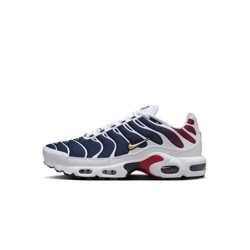 Air Max Plus PSG