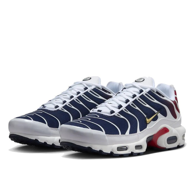 Air Max Plus PSG