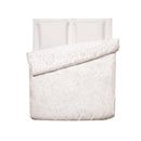 Arabesque - Housse De Couette + Taie(s) D'Oreiller Satin De Coton Arabesque Taupe