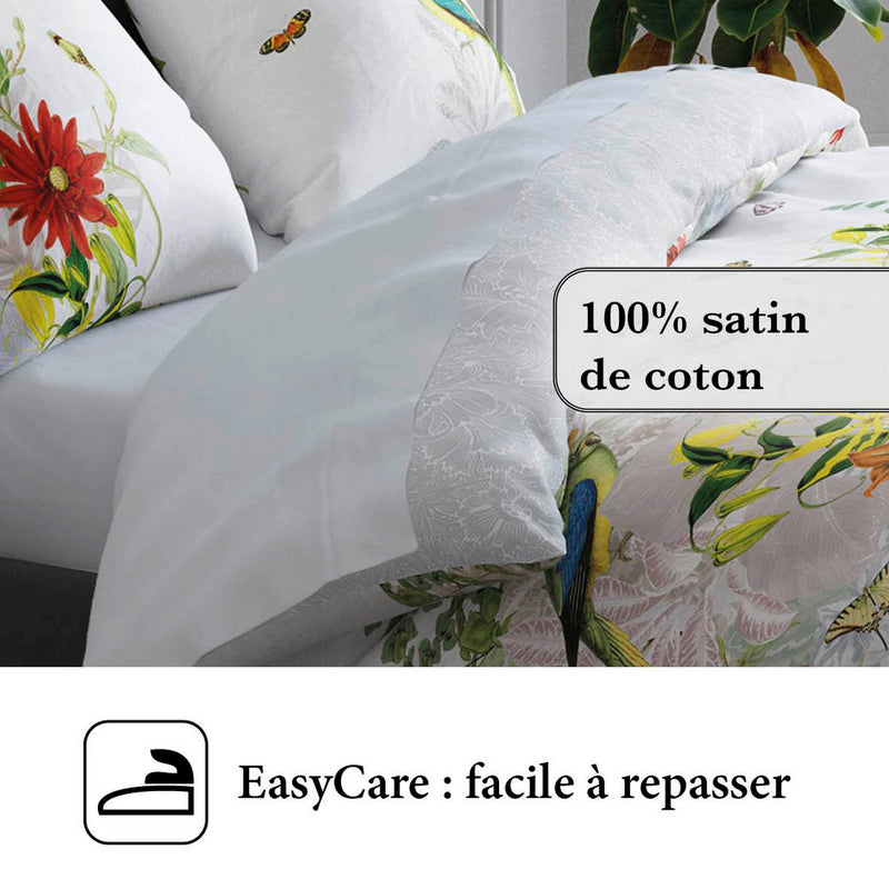 Jardin D'Hiver - Drap Plat Satin De Coton Uni Gris Perle