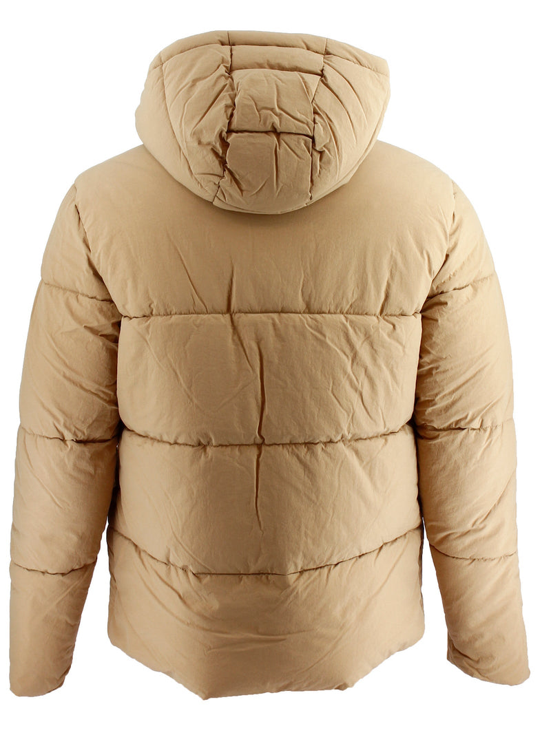 Doudoune À Capuche Champion - Marron