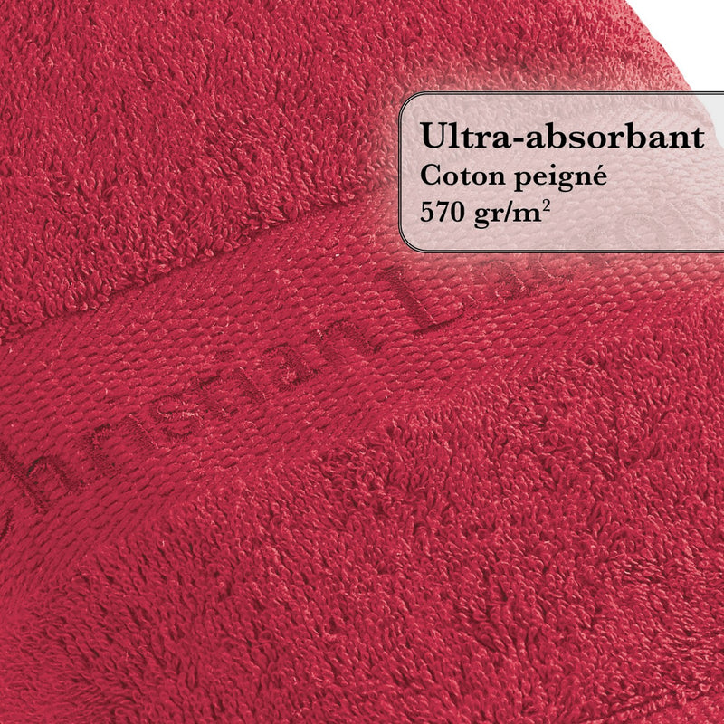 Set De 4 Gants De Toilette Bordeaux