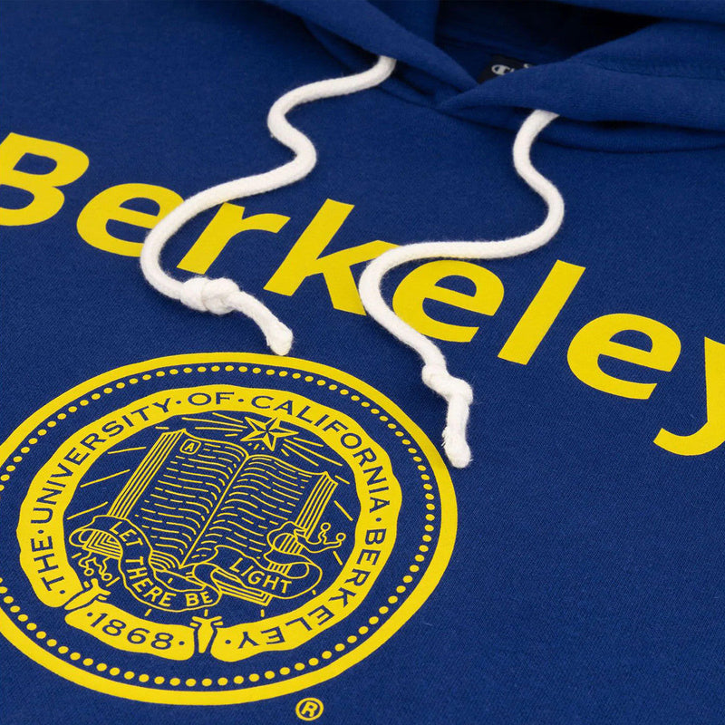 Sweat À Capuche Champion - Bleu