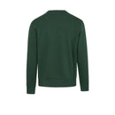 Sweat Champion Crewneck - Vert