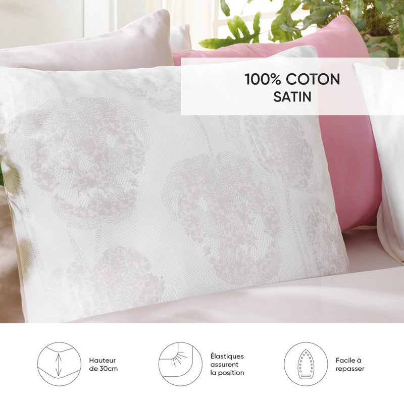 Lace - Drap-Housse Satin De Coton Uni Taupe