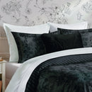 Flore - Housse De Couette + 1 Ou 2 Taie(S) D'Oreiller Satin De Coton Flore Noir / Gris