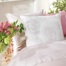 Lace - Set De 2 Taies D'Oreiller Satin De Coton Lace Taupe