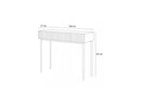 Kasha - 2 Drawer Console - Gold Feet