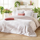 Lace - Set De 2 Taies D'Oreiller Satin De Coton Lace Taupe