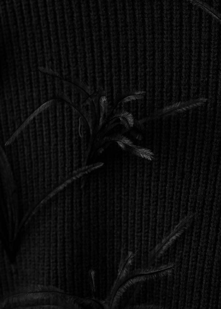 Pull Maille Plumes