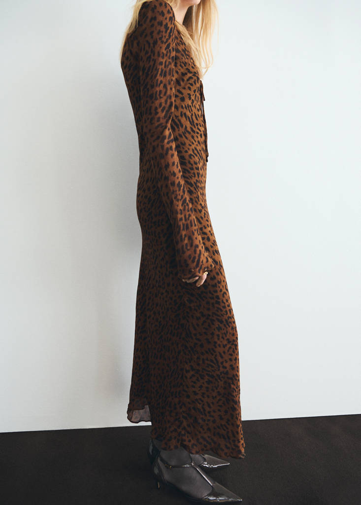 Robe Léopard À Manches Longues