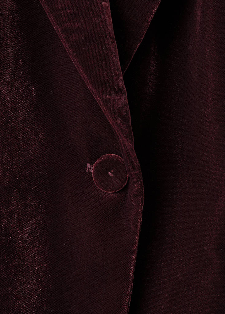 Blazer Velours Structuré