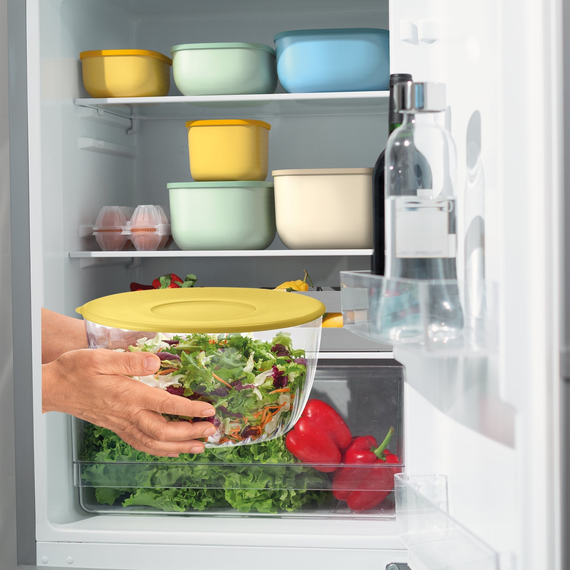 Salad Spinner With Lid "Spin&Store"