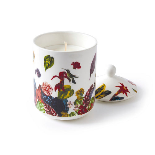 Jardin Tropical - Bougie Parfumée En Pot De Porcelaine - Jardin Tropical - Figuier - Durée De Combustion 65H