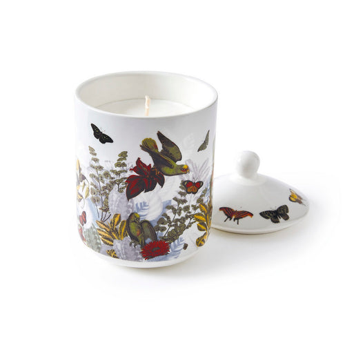 Jardin D'Hiver - Bougie Parfumée En Pot De Porcelaine - Jardin D'Hiver - Figuier - Durée De Combustion 65H