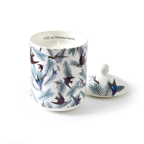 Birds - Bougie Parfumée En Pot De Porcelaine - Birds Blanc - Jasmin & Ylang - Durée De Combustion 65H