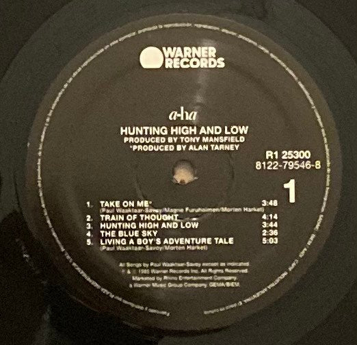 Vinyle - Aha - Hunting High And Low