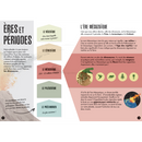 3D Dinosaures. Le Tyrannosaure